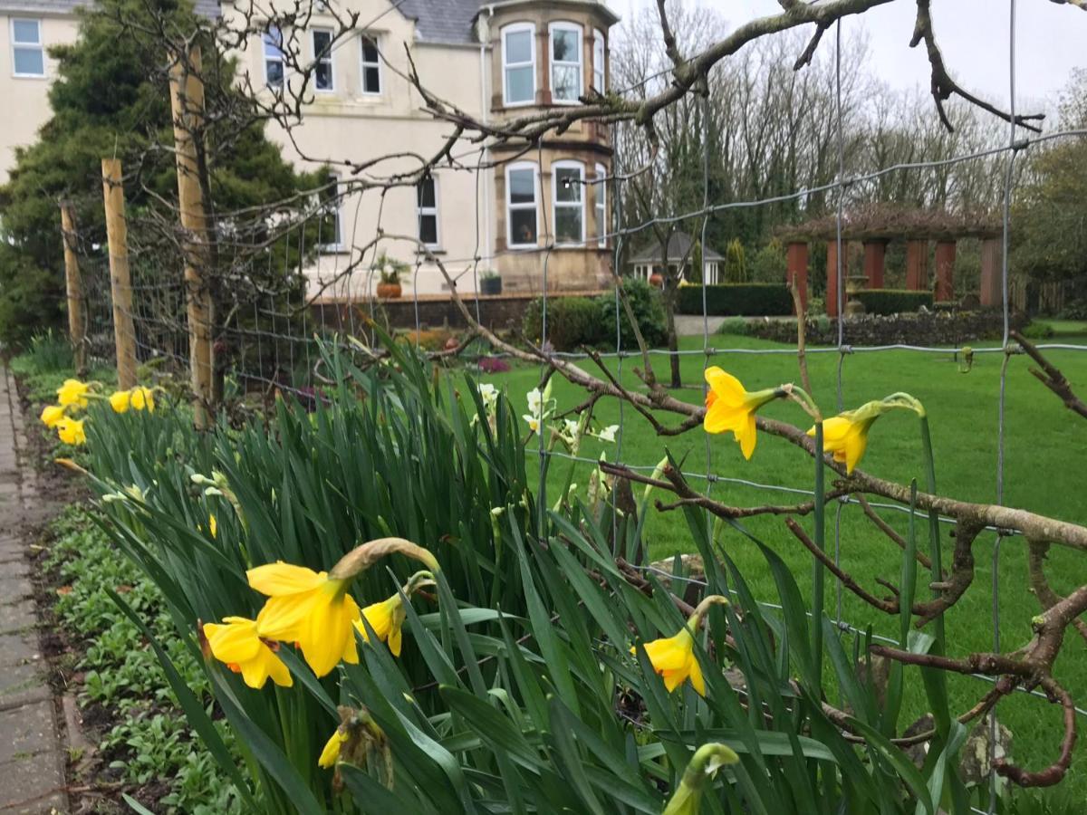 Holywell House B & B 厄维召特 外观 照片